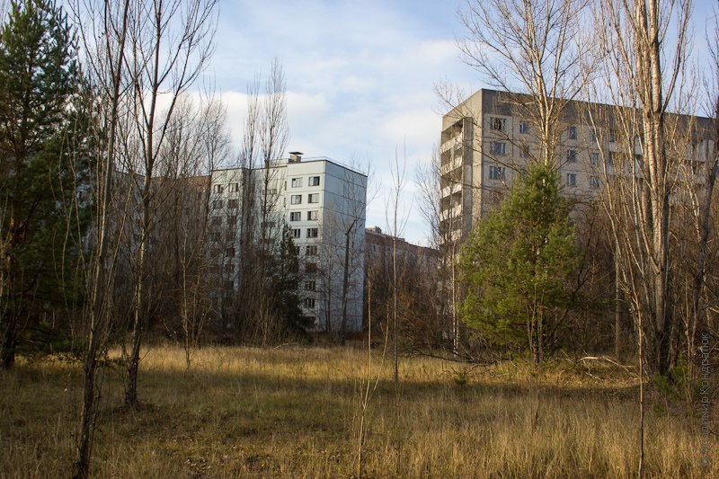 дома и лес Припять 2012